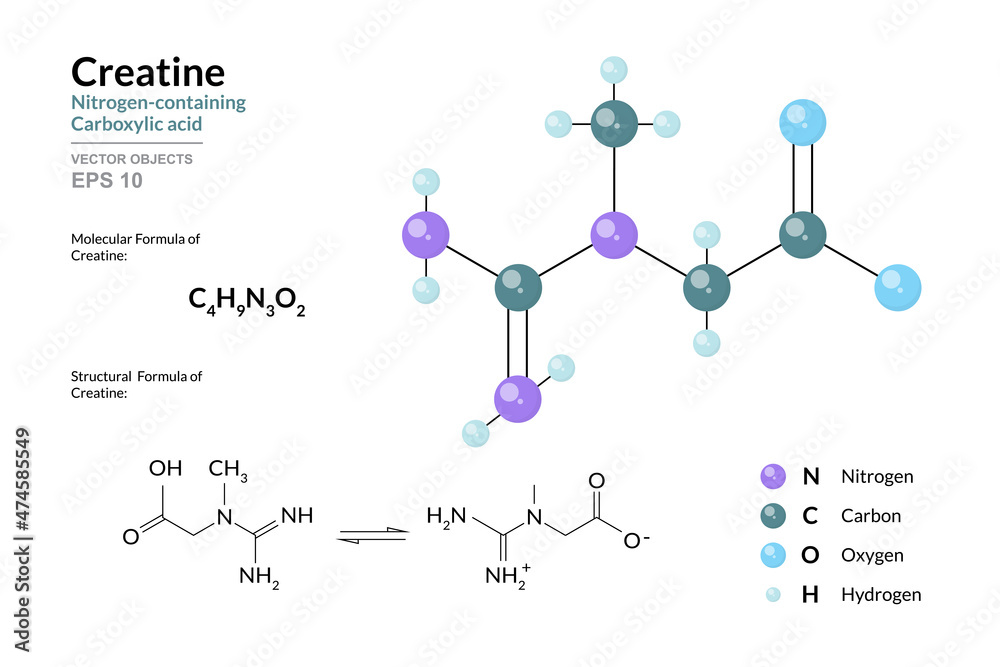 Creatine Dietary Supplement Sport Nutrition Nitrogen Containing