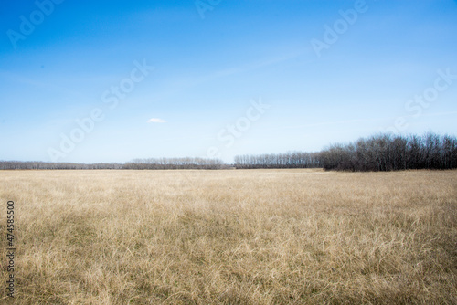 Beautiful early spring landscape with clear blue sky