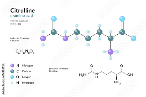 Citrulline. Alpha Amino Acid. Structural Chemical Formula and Molecule 3d Model. C6H13N3O3. Atoms with Color Coding. Vector Illustration