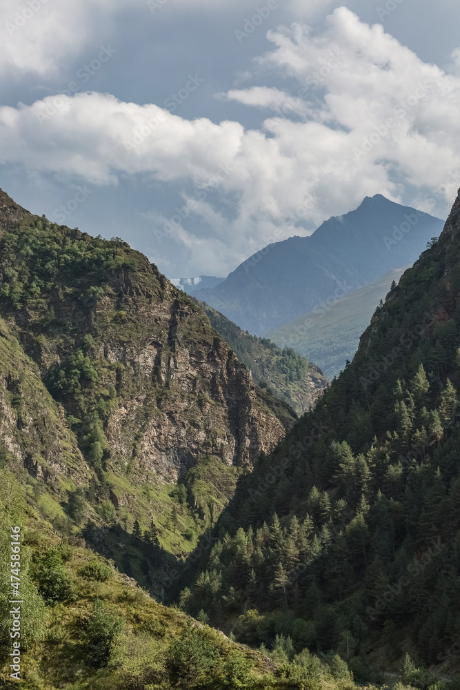 Fototapeta premium Mountain valley with forest vegetation. Landscape.