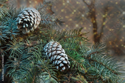 A branch of a blue spruce with cones decorated of white paint on background of night lights. A Christmas card for New Year with garlands and live branches of a Christmas tree with cones Place for text