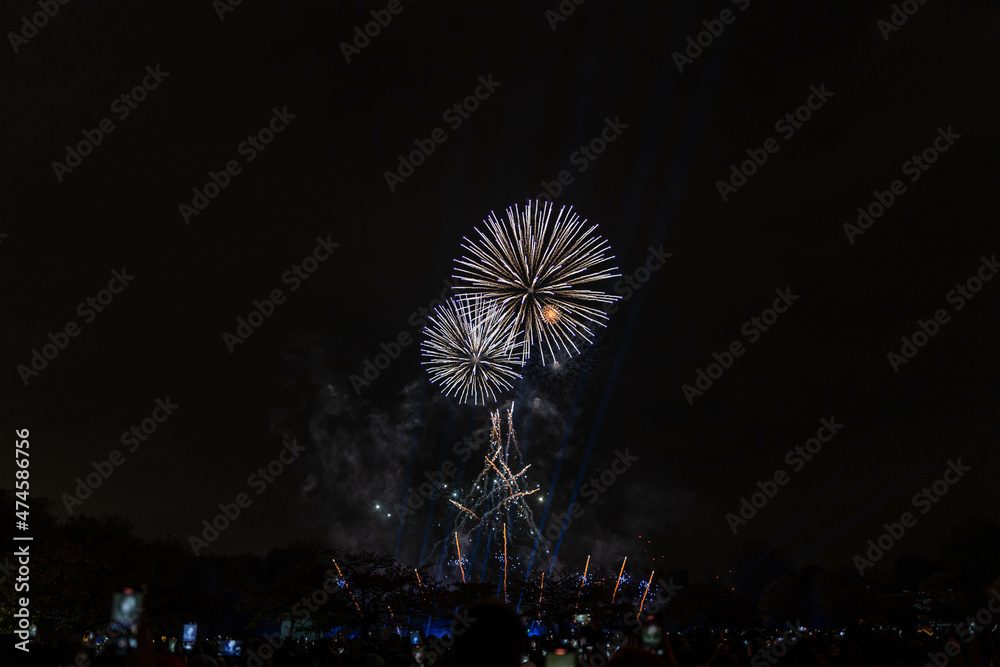 Photo of fireworks witnessed by people gathered in a park celebrating new years eve after the pandemic Photo of fireworks witnessed by people gathered in a park celebrating new years eve after the pandemic