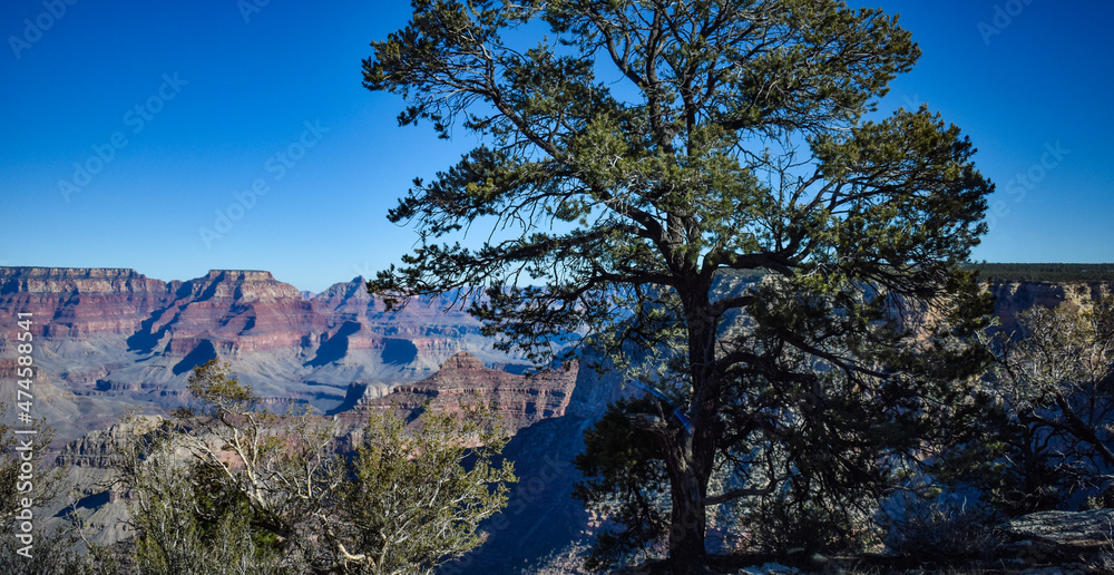 Obraz premium Grand Canyon National Park, Arizona, USA - November 22, 2021: Panoramic View of the Grand Canyon as Seen from the South Rim on a Bright, Clear Autumn Afternoon