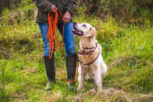 Training blind dog with towline