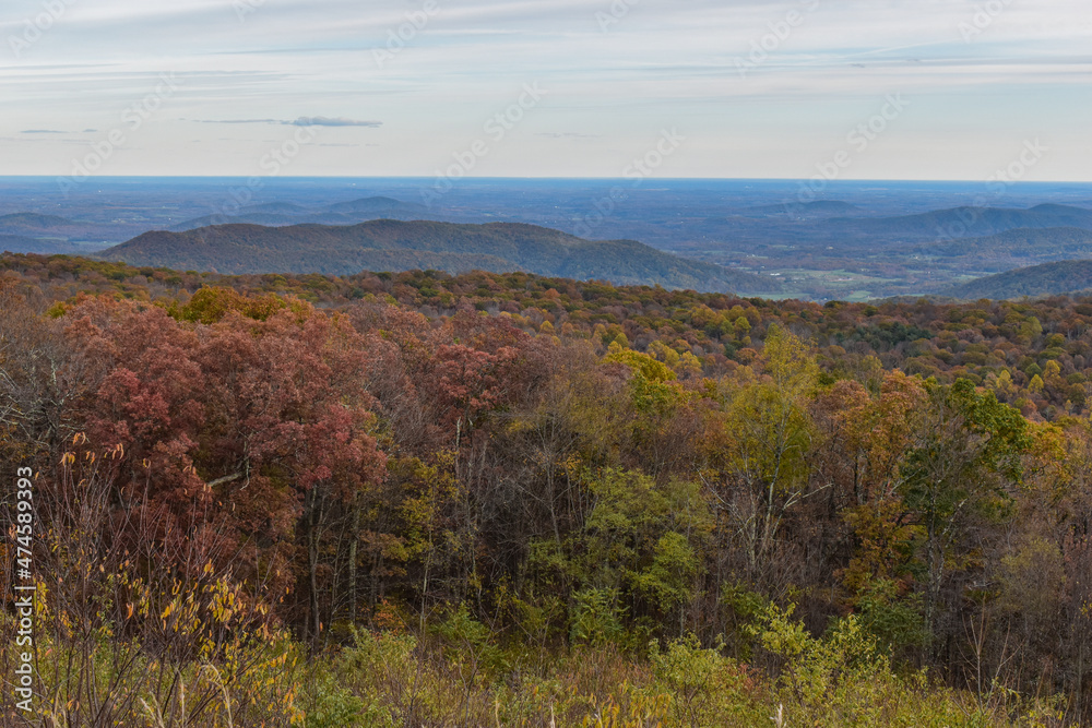 Shenandoah National Park, Virginia, USA - November 3, 2021: Mountain Scenery With Beautiful Fall Trees in the Foreground and a Bright Blue Sky in the Background