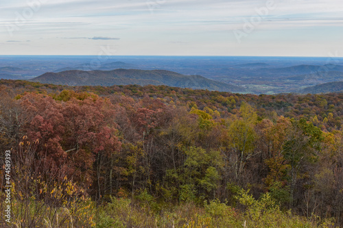 Shenandoah National Park, Virginia, USA - November 3, 2021: Mountain Scenery With Beautiful Fall Trees in the Foreground and a Bright Blue Sky in the Background