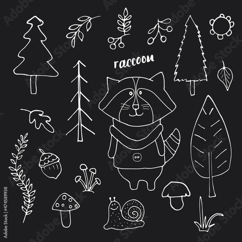 Cute Raccoon in forest. Cartoon Animal in Woodland with trees and plants. Vector illustration