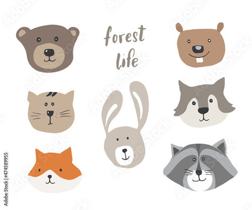 Fototapeta Naklejka Na Ścianę i Meble -  Cute Animal heads. Cartoon forest wildlife animals collection, fox, wolf, bear, beaver, raccoon, rabbit and wild cat. Vector illustration