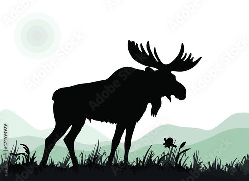 one mighty moose stands, isolated images on the background of a monochrome landscape