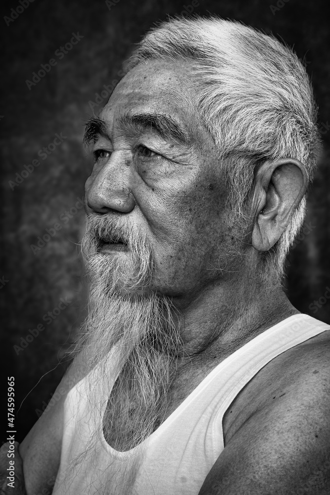 studio head shot portrait of chinese old man with white hair and beard ...