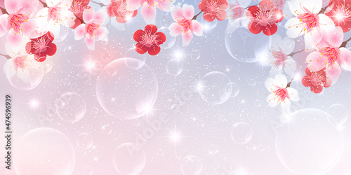 桜　梅　春　背景 