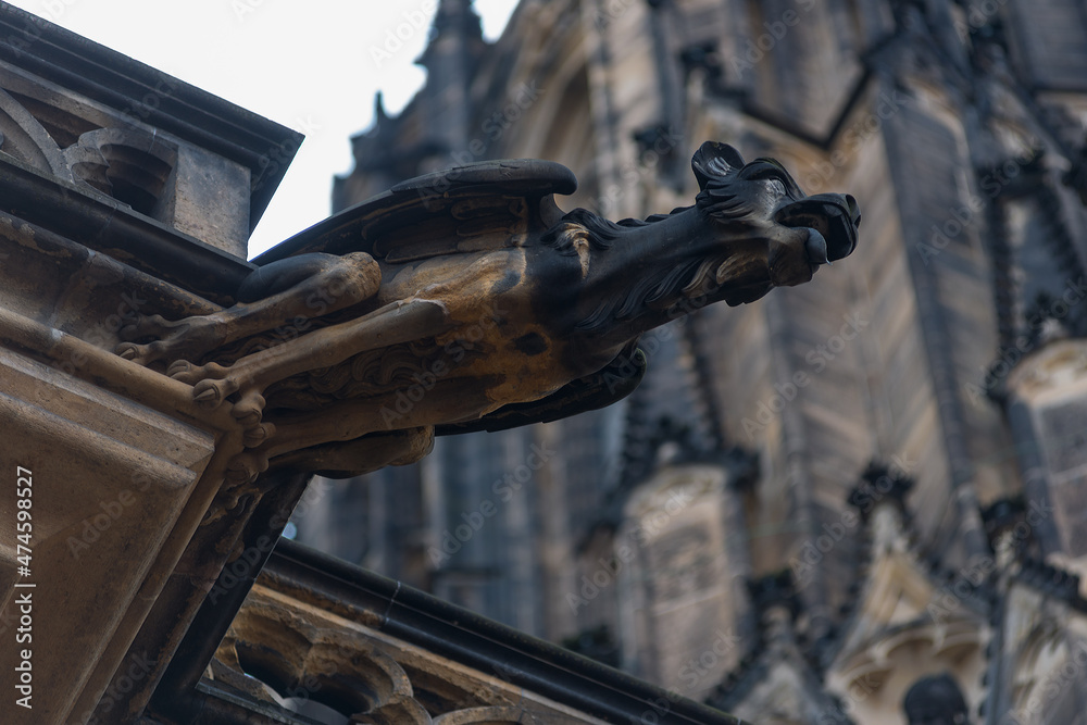 Gargoyle at St. Vitus Cathedral in Prague