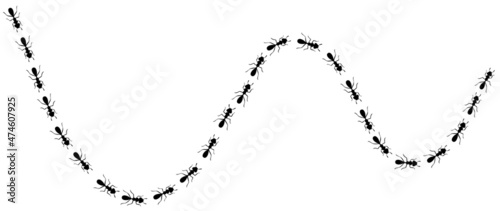 Ants trail with location icons. Route or path isolated in white background. Vector illustration
