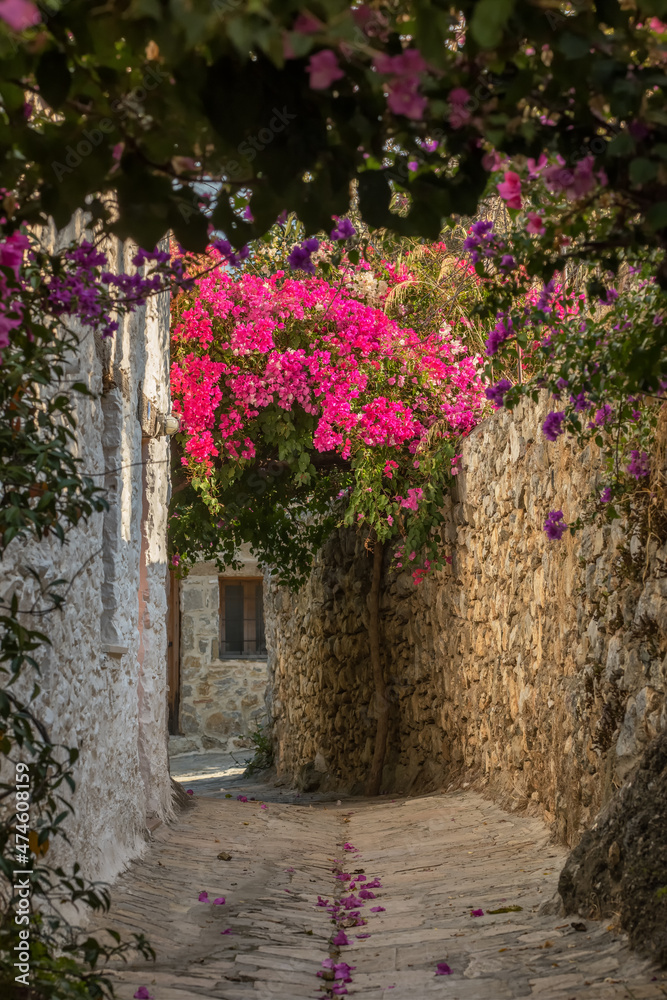 Picturesquare narrow pass with bougainvillea flowers in Old Datca, Turkey