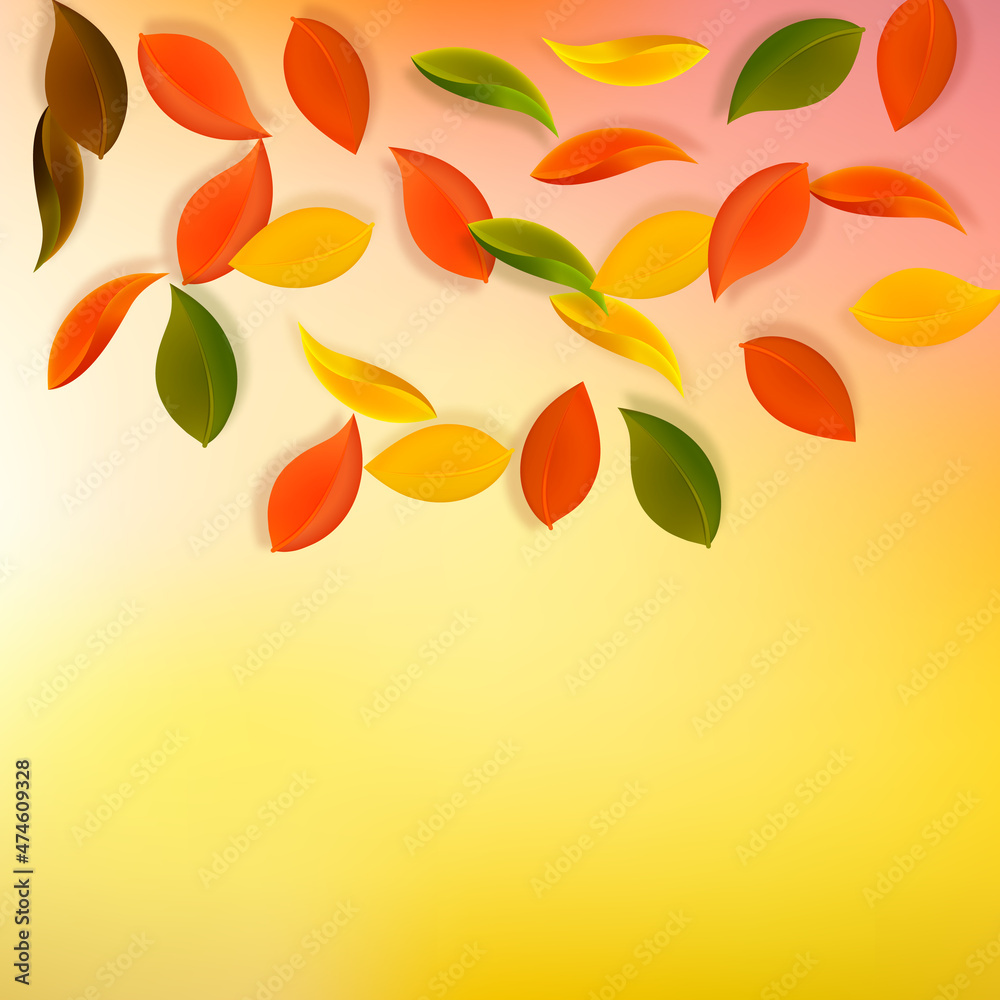 Falling autumn leaves. Red, yellow, green, brown n Falling autumn leaves. Red, yellow, green, brown n