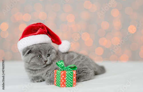 Cute kitten wearing red santa hat lying with gift box on festive background