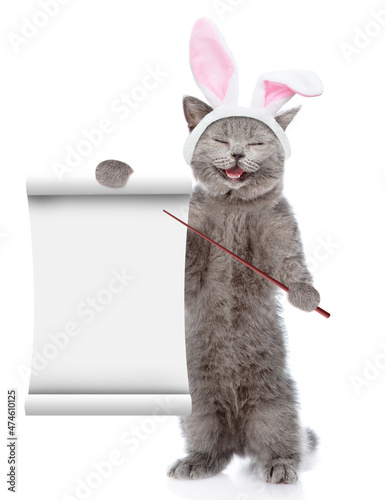 Happy kitten wearing Easter rabbits ears points on empty list. Isolated on white background