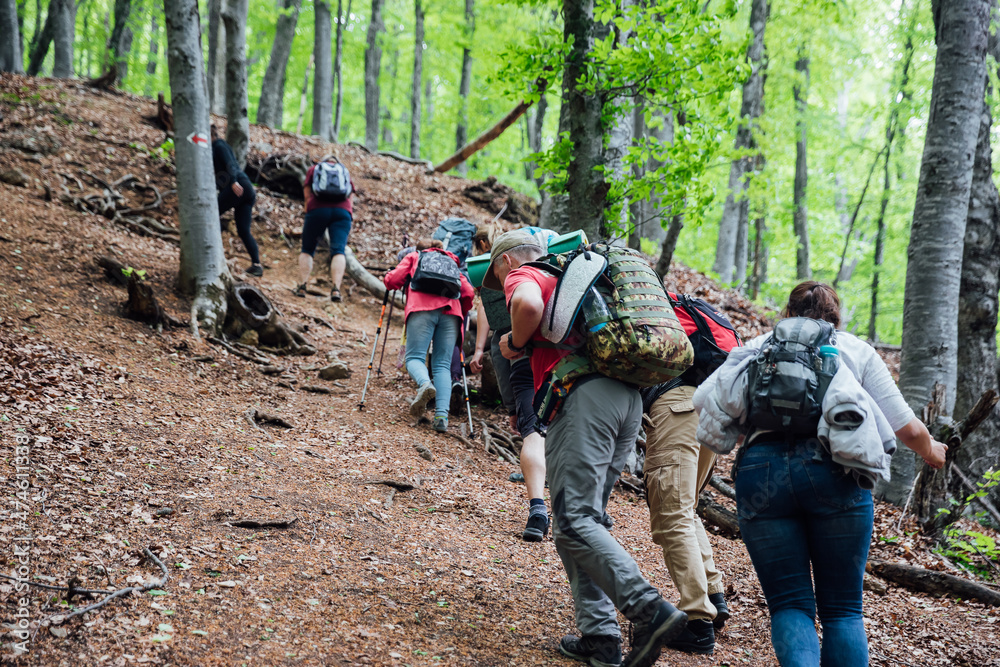 a group of tourists climb to the top of the mountain on a trip a group of tourists climb to the top of the mountain on a trip