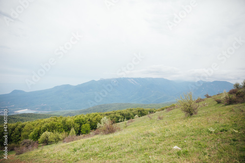 beautiful landscape view from the top of the mountain to the green forest © dmitriisimakov