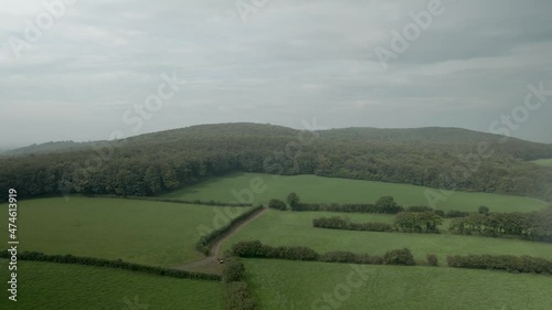 Old Forest and Green Fields in Westmeath in Ireland - Smooth Cinematic Aerial photo