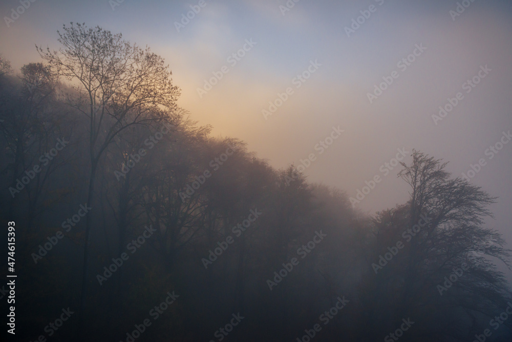 Misty morning in the mountains, clouds and fog during sunrise. Poland