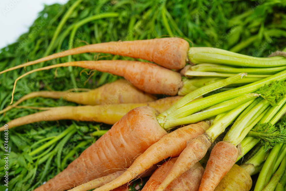 Fresh carrot on white background,raw material for cooking. Close up. Fresh carrot on white background,raw material for cooking. Close up.