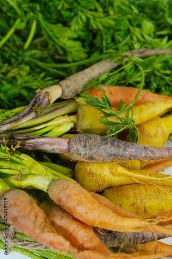 Fresh carrot on white background,raw material for cooking. Close up. Fresh carrot on white background,raw material for cooking. Close up.