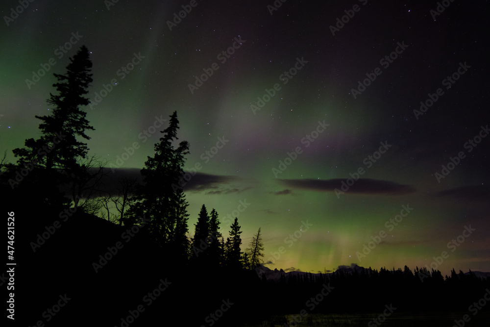 Fototapeta premium Auroras over Mountains, Alberta, Canada