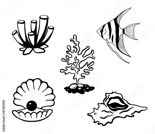 Hand drawn corals, seashell, pearl isolated on white background. Silhouette icons underwater life elements. Set of line vector illustration