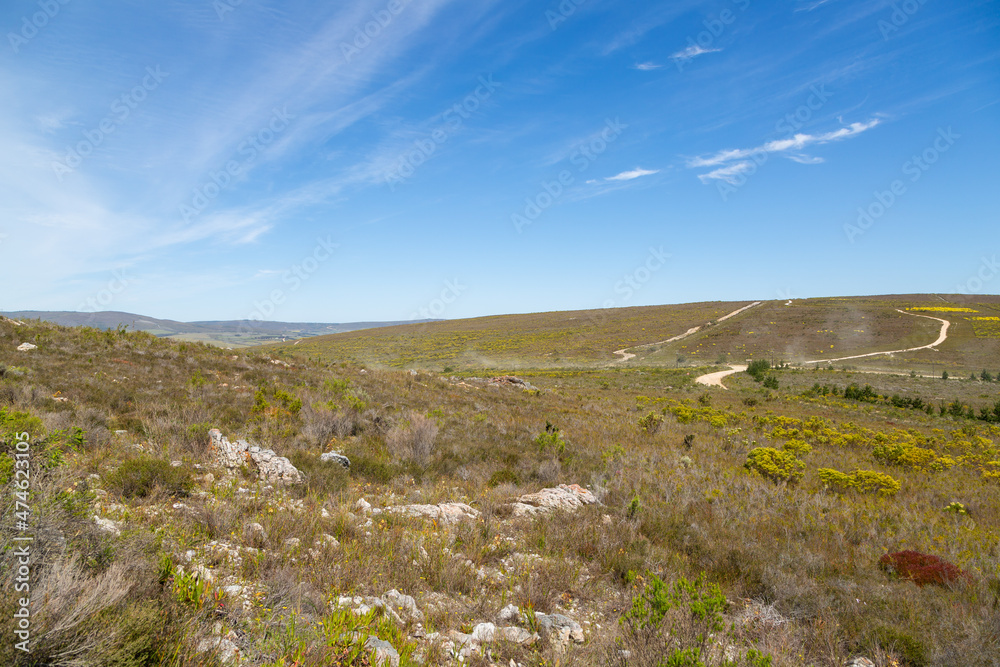 Panorama of the Fynbos landscape near Stanford in the Western Cape of South Africa Panorama of the Fynbos landscape near Stanford in the Western Cape of South Africa