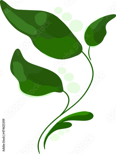 branch with green leaves