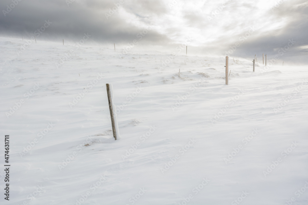 Blizzard of snow on top of mountains in Winters. Blizzard of snow on top of mountains in Winters.