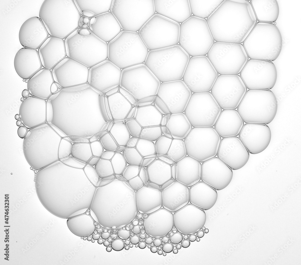 foams or bubbles or cells on the white background foams or bubbles or cells on the white background