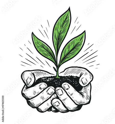 Hands with plant. Save nature. Growing agriculture sprout. Sketch hand drawn