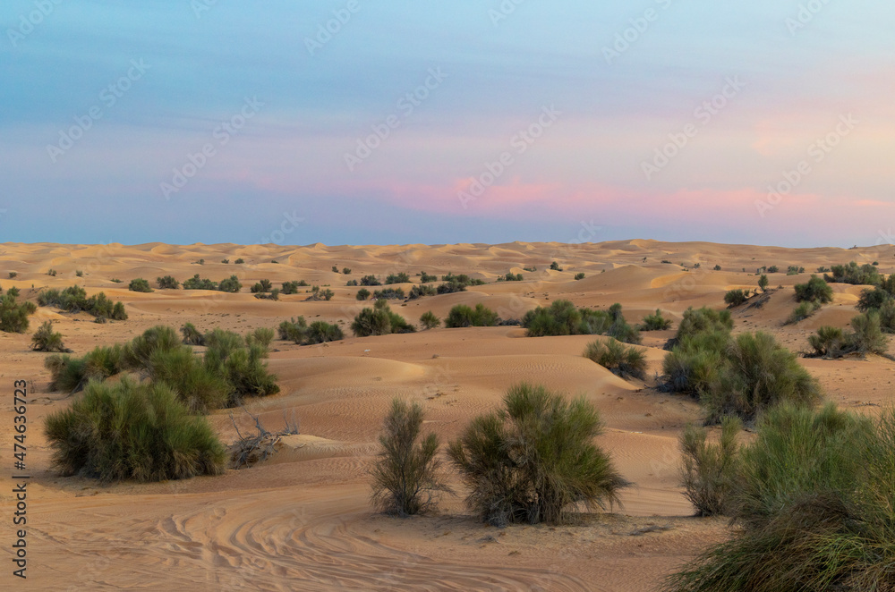 Sundowner in the Dubai desert conservation area