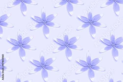Repetitive pattern made from head of wild tulip flowers on a purple background. Monochrome composition. © rorygezfresh