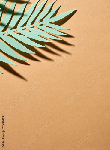 Green tropical leafs background