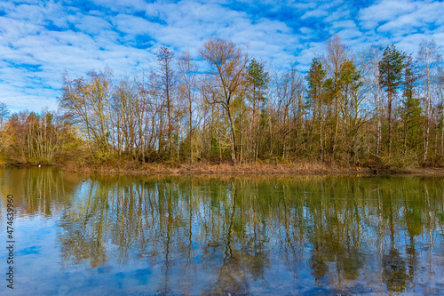 lake in the forest