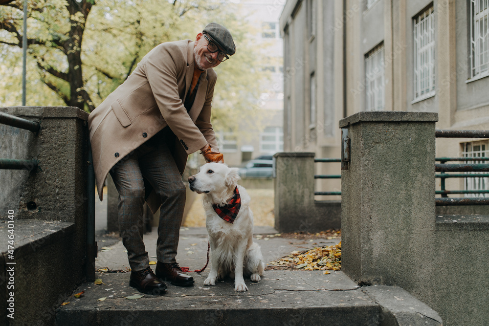 Happy senior man looking at camera during dog walk outdoors in city. Happy senior man looking at camera during dog walk outdoors in city.
