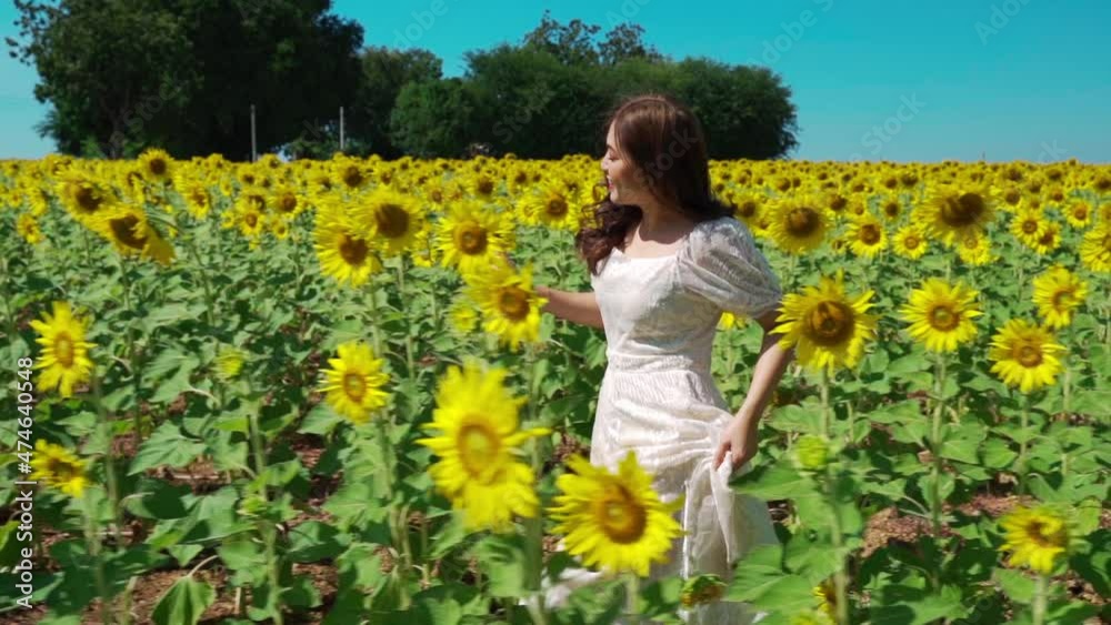 slow-motion of cheerful woman walking and enjoying with sunflower field slow-motion of cheerful woman walking and enjoying with sunflower field