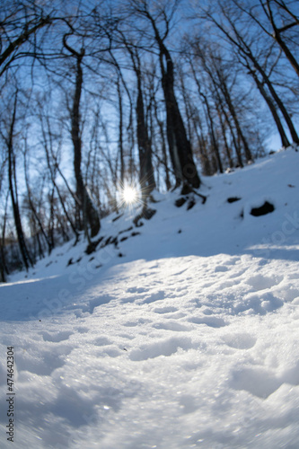neve nel bosco  © Giuliano Bianchini