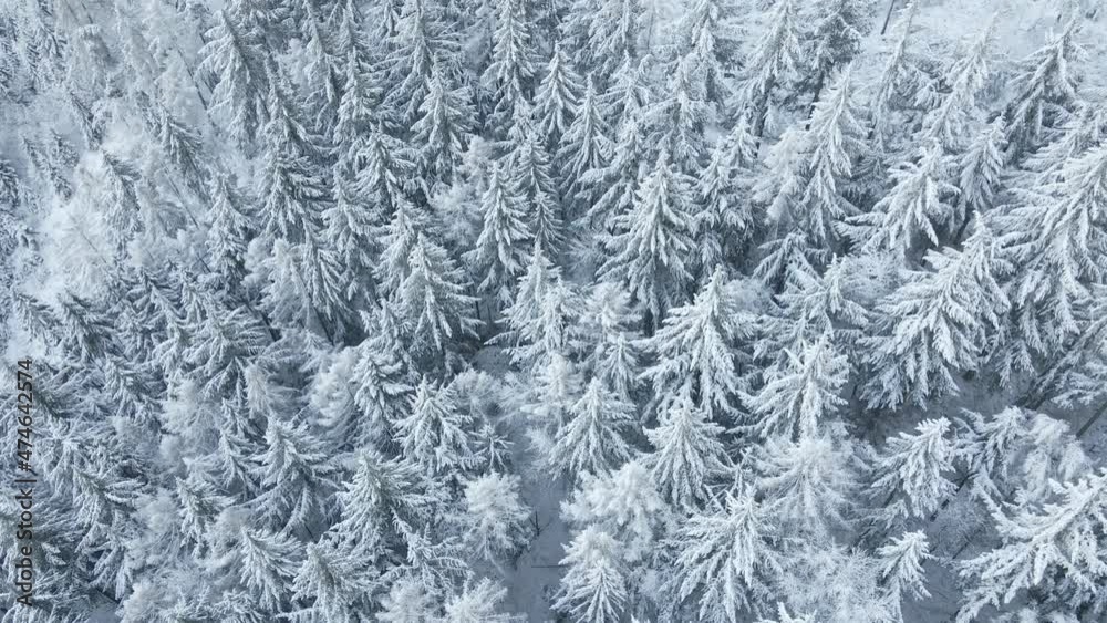 Flight over winter forest with covered trees with snow. Beautiful winter nature landscape, aerial view. Pine forest background Flight over winter forest with covered trees with snow. Beautiful winter nature landscape, aerial view. Pine forest background