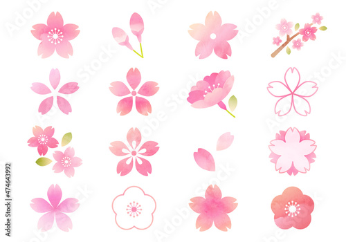 桜の水彩風のアイコンのベクターイラストセット