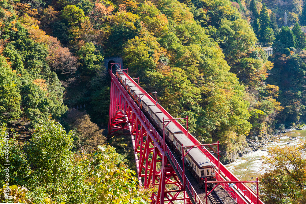 Fototapeta premium 【富山県】宇奈月温泉 新山彦橋（やまびこ展望台より）