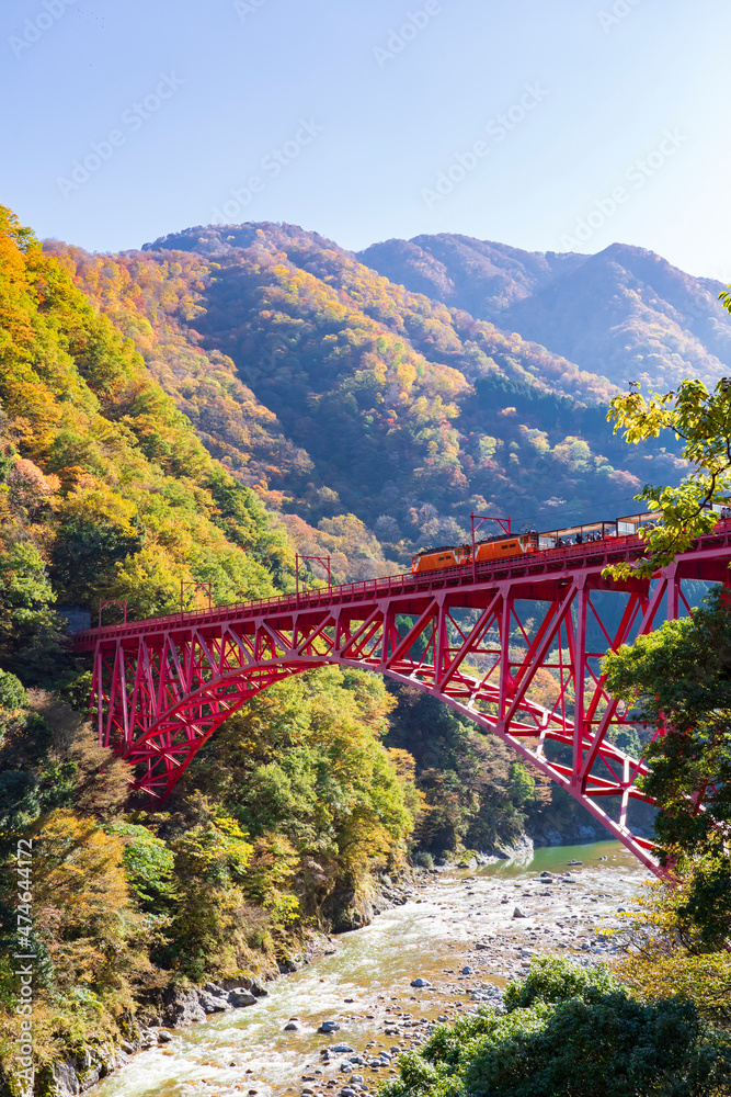 【富山県】秋の黒部峡谷 新山彦橋とトロッコ電車 【富山県】秋の黒部峡谷 新山彦橋とトロッコ電車