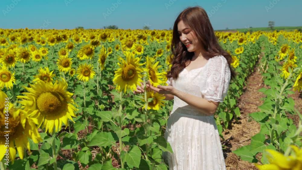 cheerful woman enjoying with sunflower field cheerful woman enjoying with sunflower field