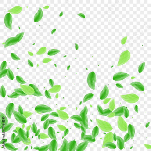 Green Greenery Background Transparent Vector. Vegetation Nature Card. Shape Texture. Light Green Blend Frame. Leaves Garden.