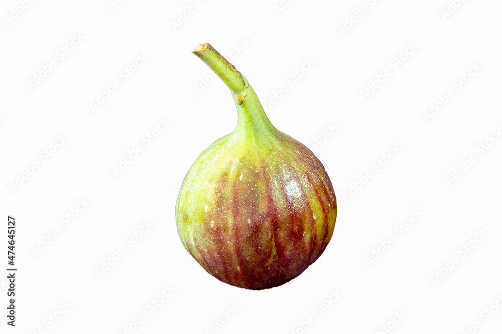 Isolated mature fig (Ficus carica), whole, on white background Isolated mature fig (Ficus carica), whole, on white background