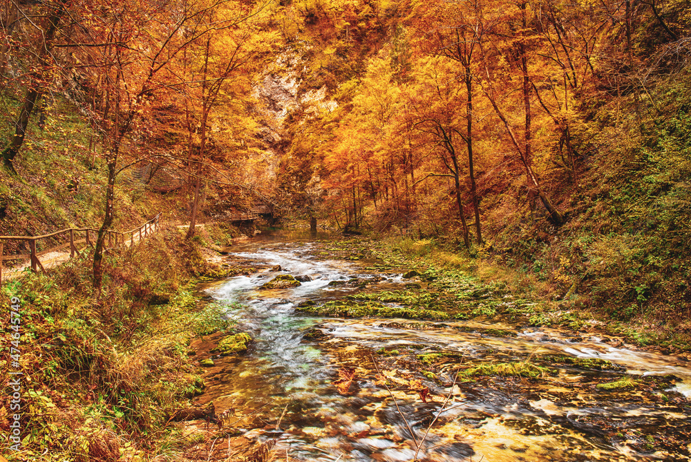 Vintgar gorge, Slovenia