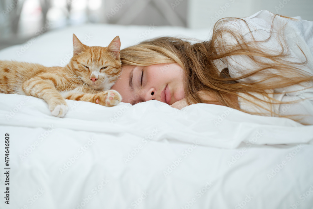 Girl teenager with a cat. High quality photo Girl teenager with a cat. High quality photo